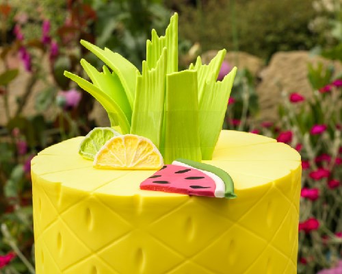 Tropical Party Theme